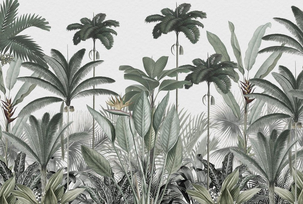 Papier peint panoramique jungle tree, XXL, tendance