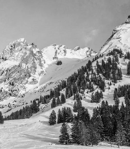 Papier peint panoramique chalet alpage, XXL, tendance