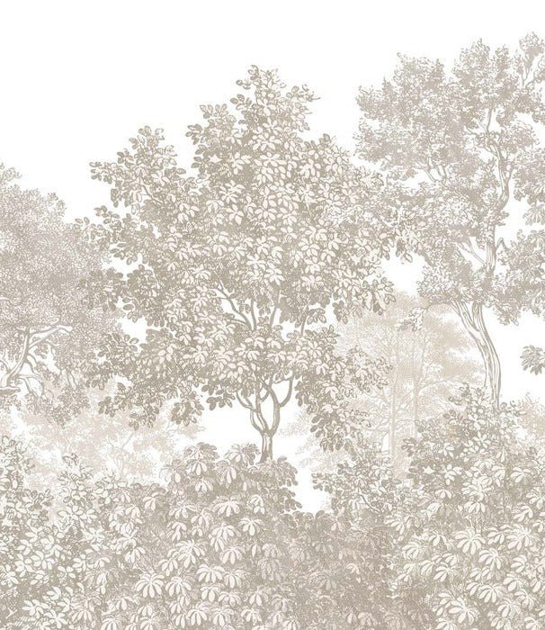 Papier peint paysage forêt gravure beige, XXL, tendance
