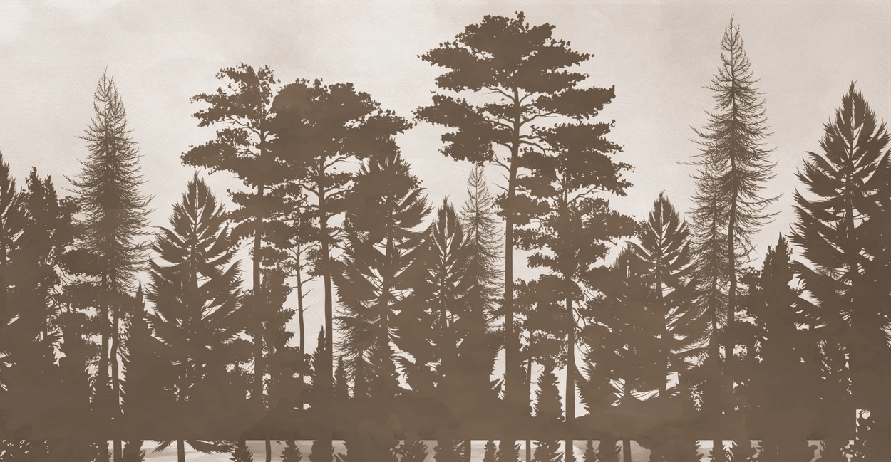 Papier peint mocha forêt - Muralconcept
