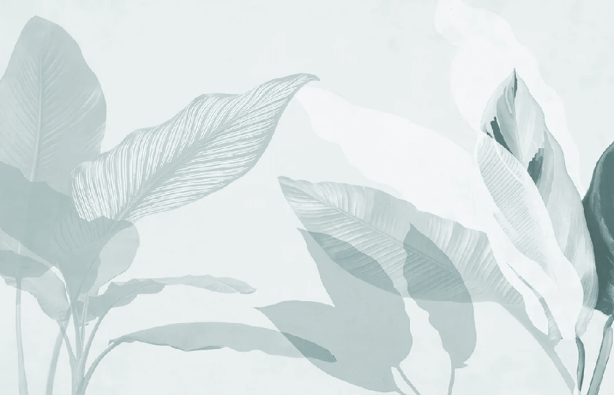 Papier peint feuillage moderne vert d'eau - Muralconcept