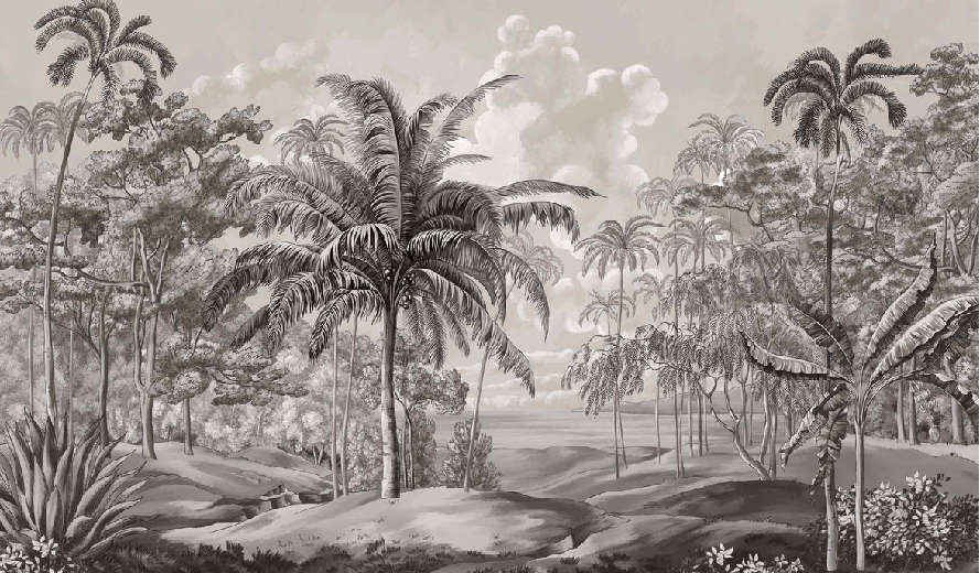 Black and white Sulawesi landscape wallpaper