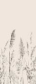 Papier peint panoramique prairie sauvage - Muralconcept