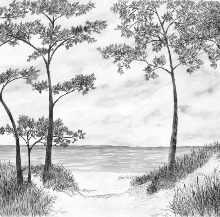 Papier peint Pins maritimes et dunes - Noir et blanc - Muralconcept