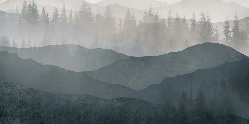 Papier peint restaurant panorama nature noir et blanc, XXL, tendance