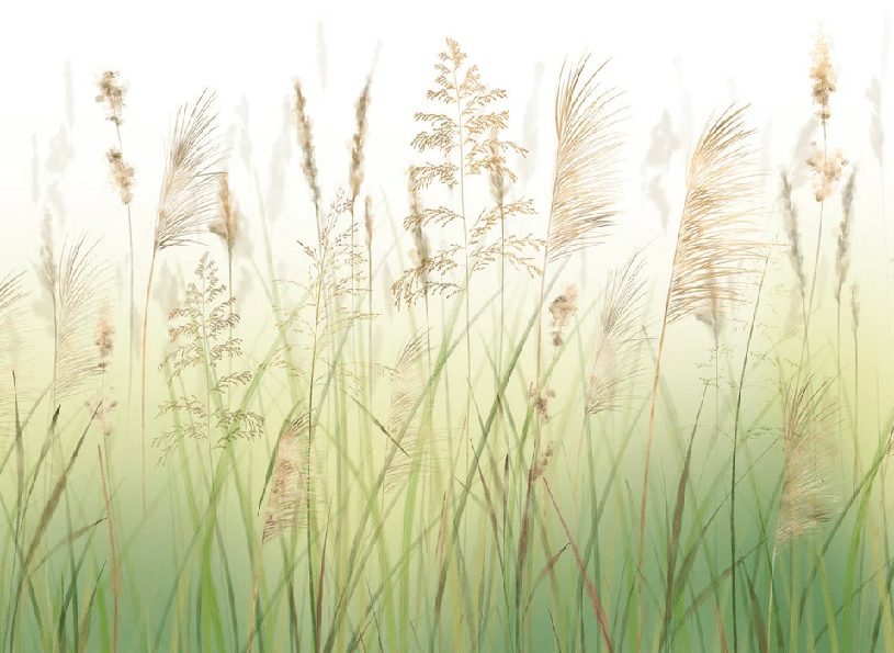 Papier peint fleur des champs de blé dégradé, XXL, tendance