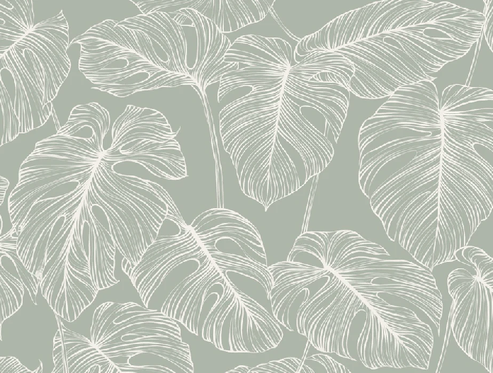 Papier peint feuille monstera sauge - Muralconcept
