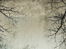 Enchanted forest wallpaper