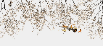 Branch & butterfly living room wallpaper