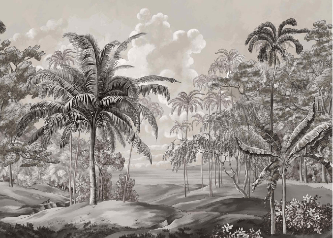 Black and white Sulawesi landscape wallpaper