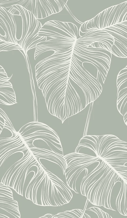 Papier peint feuille monstera sauge - Muralconcept