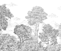 Papier peint panoramique Forêts et Monts Crayonnés - Muralconcept