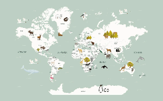 Papier peint Carte du monde en Francais enfant vert - Muralconcept