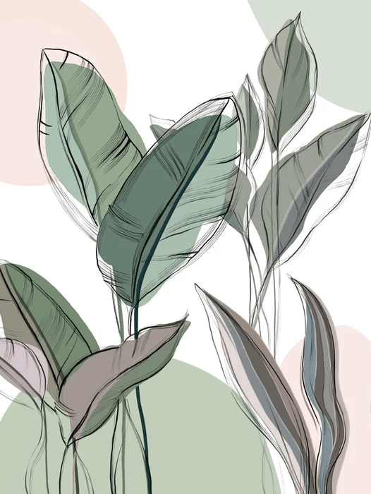 Papier peint panoramique végétal graphique vert - Muralconcept