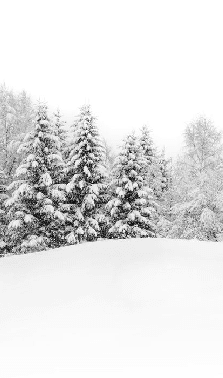 Papier peint panoramique évasion hivernale - Muralconcept