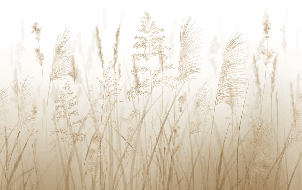 Papier peint fleur des champs de blé - Muralconcept