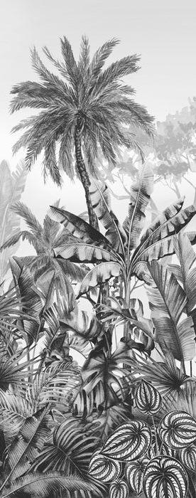 Papier peint wc tendance tropical noir et blanc, XXL, tendance