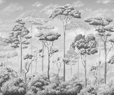 Papier peint panoramique pinèdes noir et blanc - Muralconcept