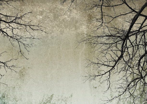 Enchanted Forest Tapete