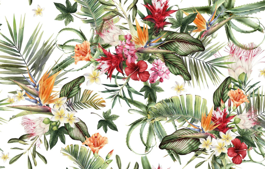 Papier peint tropical & Fleurs colorées - Muralconcept