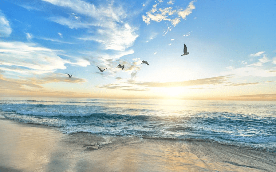 Papier peint Plage Paradisiaque, XXL, tendance