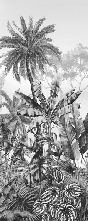 Papier peint tendance tropical noir et blanc - Muralconcept