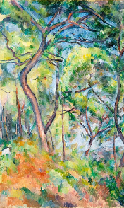 Papier peint forêt de pins - Paul Cézanne - Muralconcept