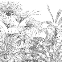 Papier peint tropical gravure monochrome, XXL, tendance