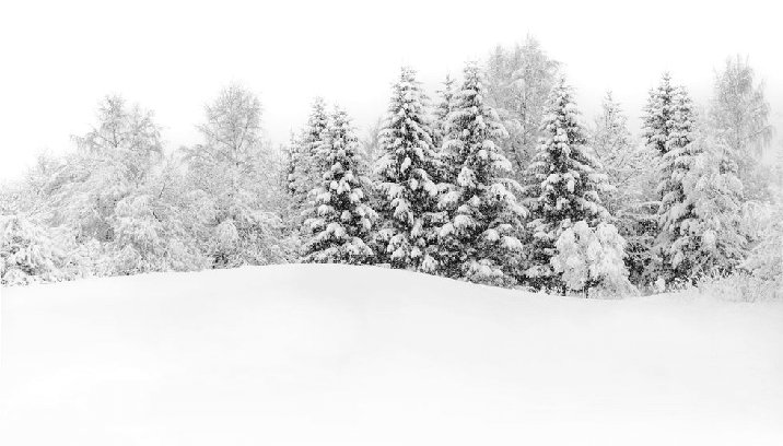 Papier peint panoramique évasion hivernale - Muralconcept