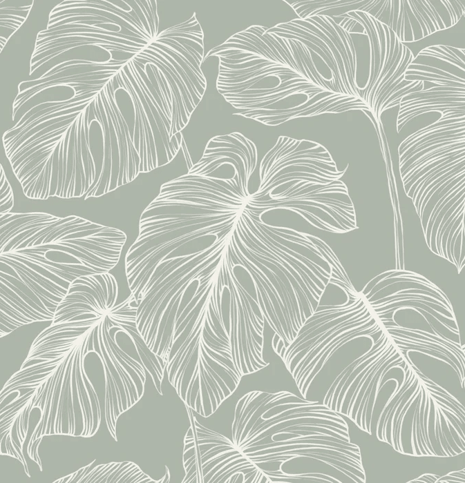 Papier peint feuille monstera sauge - Muralconcept