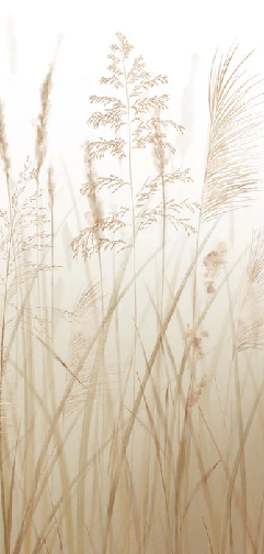 Papier peint fleur des champs de blé - Muralconcept