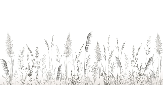 Papier peint poétique pampa, XXL, tendance