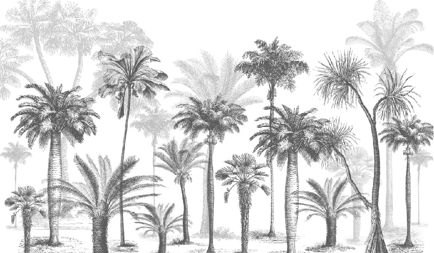 Black & White jungle wallpaper