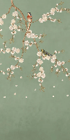 Papier peint sakura zen vert - Muralconcept