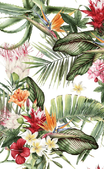 Papier peint tropical & Fleurs colorées, XXL, tendance
