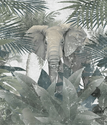 Papier peint Elephant d'Amazonie, XXL, tendance