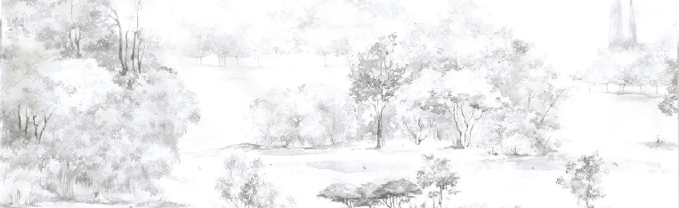 Papier peint forêt de pin aquarelle - Muralconcept