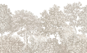 Papier peint paysage forêt gravure beige, XXL, tendance