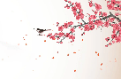 Papier peint harmonie zen sakura, XXL, tendance