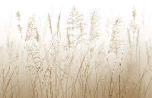 Papier peint fleur des champs de blé - Muralconcept