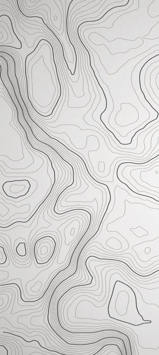 Papier peint ligne topographique - Noir et blanc - Muralconcept