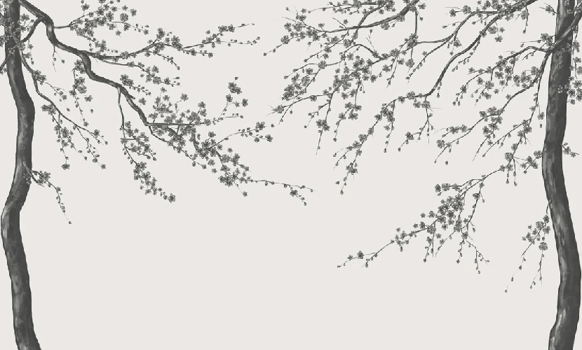Papier peint panoramique fleur Sakura noir et blanc - Muralconcept