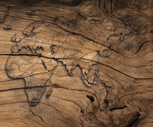 Papier peint Wood & Map, XXL, tendance