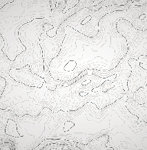 Papier peint ligne topographique - Noir et blanc - Muralconcept