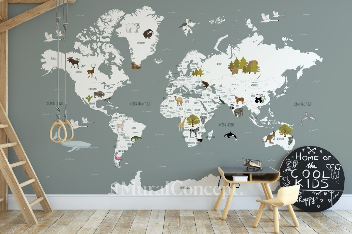 Papier peint Carte du monde en Francais enfant gris