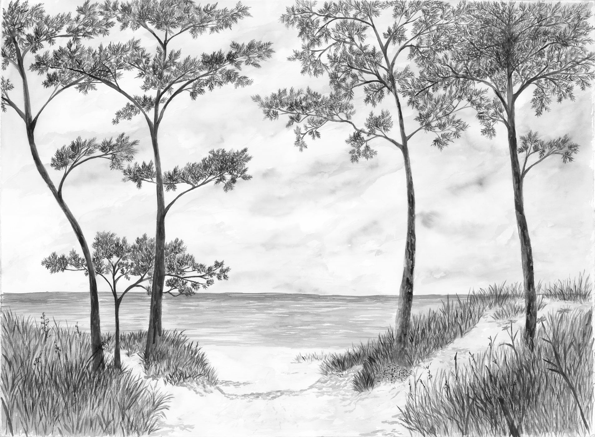 papier peint panoramique Made in France paysage atlantique