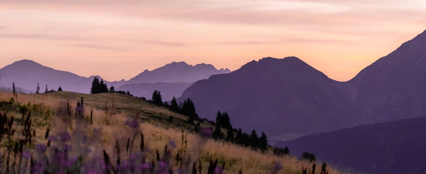 Papier peint restaurant massif du Giffre, mural concept, tendance