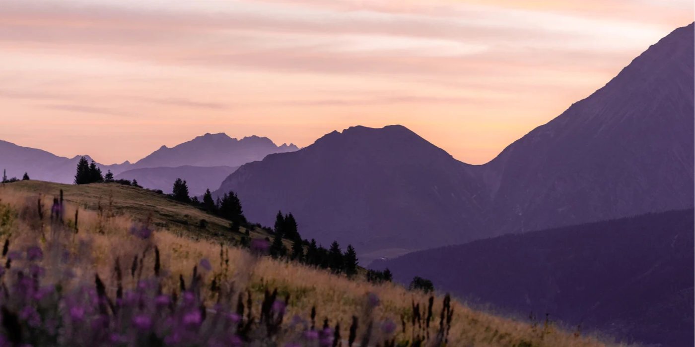 Papier peint restaurant massif du Giffre, mural concept, tendance