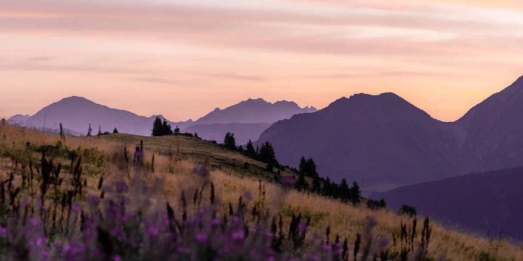 Papier peint restaurant massif du Giffre, mural concept, tendance