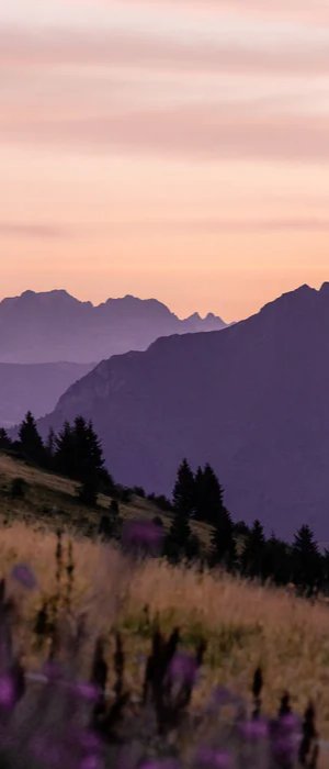 Papier peint restaurant massif du Giffre, mural concept, tendance